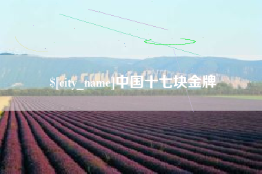 玉林中国十七块金牌