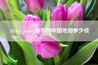 玉林新版的中国地图多少钱