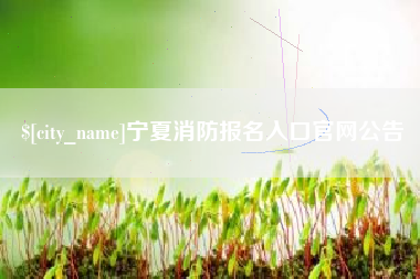 玉林宁夏消防报名入口官网公告