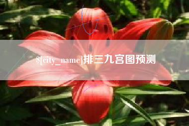 玉林排三九宫图预测