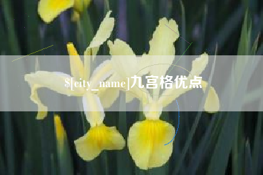 玉林九宫格优点