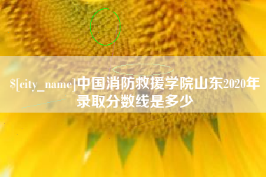 玉林中国消防救援学院山东2020年录取分数线是多少