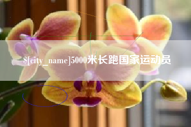 玉林5000米长跑国家运动员