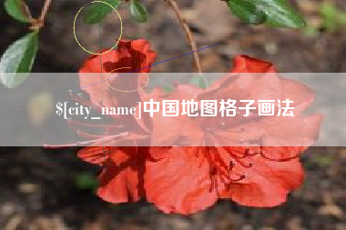 玉林中国地图格子画法