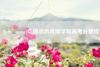 玉林中国消防救援学院高考分数线
