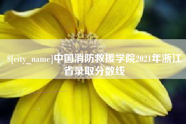 玉林中国消防救援学院2021年浙江省录取分数线