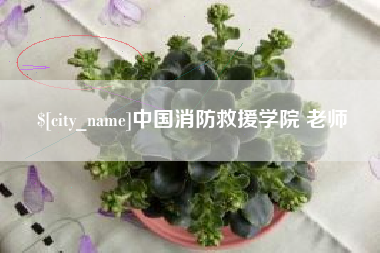 玉林中国消防救援学院 老师