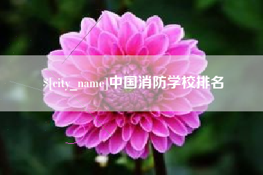 玉林中国消防学校排名