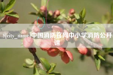 玉林中国消防官网中小学消防公开课