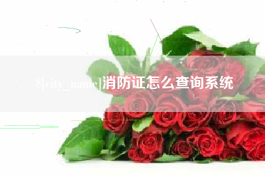 玉林消防证怎么查询系统