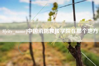 玉林中国消防救援学院在那个地方