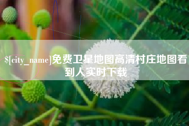 玉林免费卫星地图高清村庄地图看到人实时下载