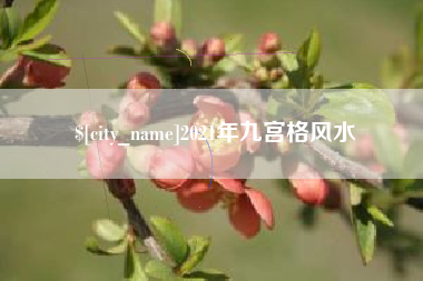 玉林2021年九宫格风水