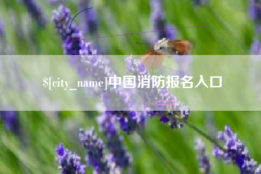玉林中国消防报名入口