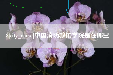 玉林中国消防救援学院是在哪里