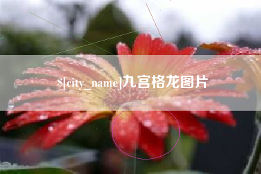 玉林九宫格龙图片