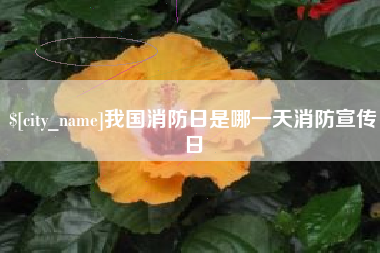 玉林我国消防日是哪一天消防宣传日