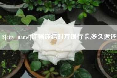 玉林诈骗冻结对方银行卡,多久返还