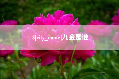 玉林九金是谁