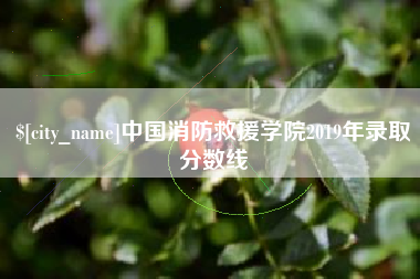 玉林中国消防救援学院2019年录取分数线
