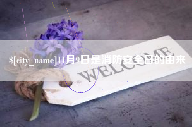 玉林11月9日是消防安全日的由来