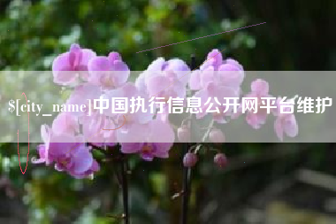 玉林中国执行信息公开网平台维护