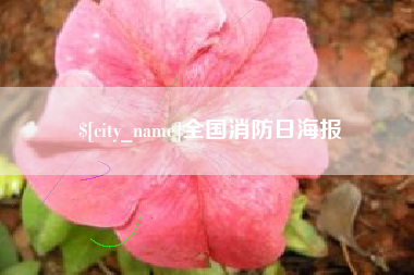 玉林全国消防日海报