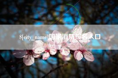 玉林国家消防报名入口