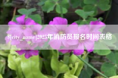 玉林2025年消防员报名时间表格