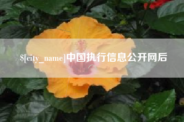 玉林中国执行信息公开网后