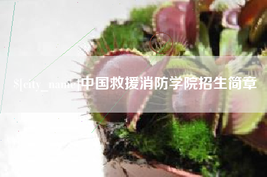 玉林中国救援消防学院招生简章
