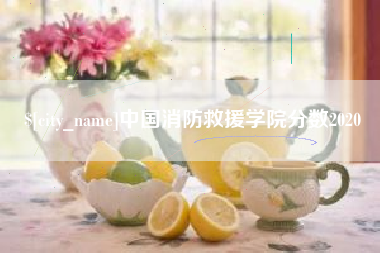 玉林中国消防救援学院分数2020