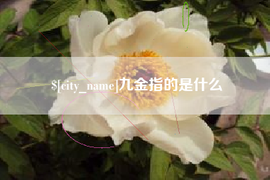 玉林九金指的是什么