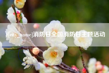 玉林消防日全国消防日主题活动