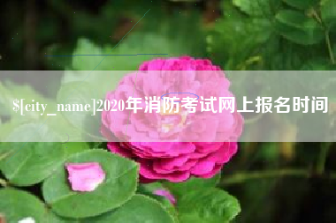 玉林2020年消防考试网上报名时间