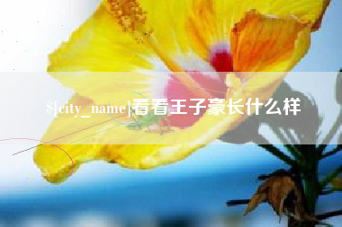 玉林看看王子豪长什么样