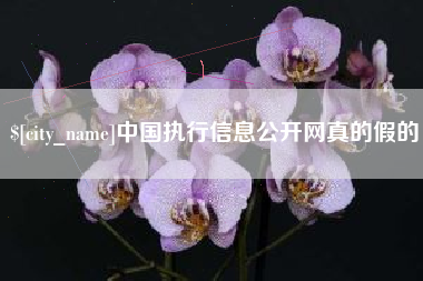 玉林中国执行信息公开网真的假的