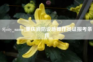 玉林重庆消防设施操作员证报考条件