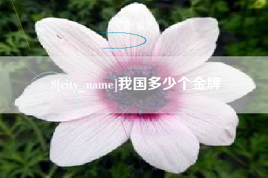 玉林我国多少个金牌