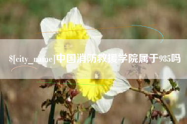 玉林中国消防救援学院属于985吗