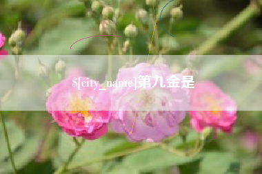 玉林第九金是