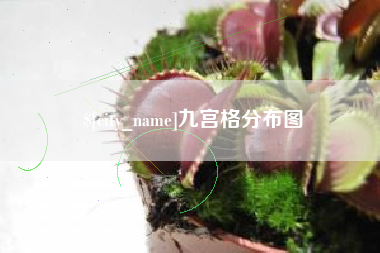 玉林九宫格分布图