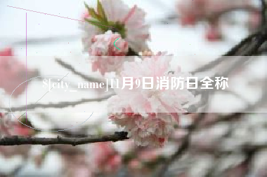 玉林11月9日消防日全称