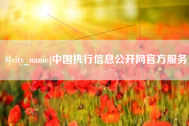 玉林中国执行信息公开网官方服务