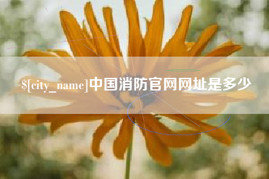 玉林中国消防官网网址是多少