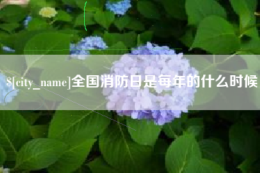 玉林全国消防日是每年的什么时候