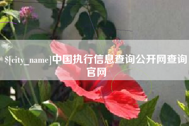 玉林中国执行信息查询公开网查询官网