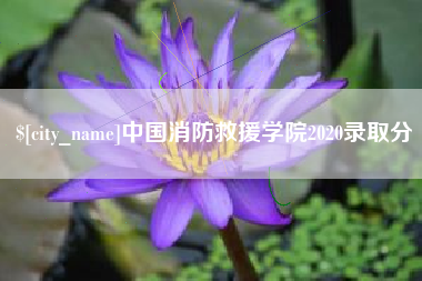 玉林中国消防救援学院2020录取分