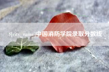 玉林中国消防学院录取分数线