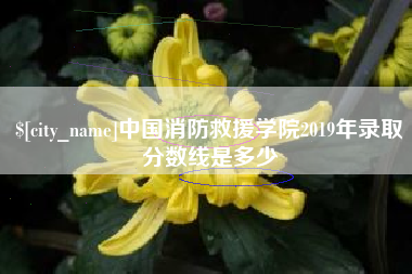 玉林中国消防救援学院2019年录取分数线是多少